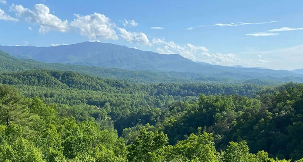 Pvr Homepage Img 6 01757A65