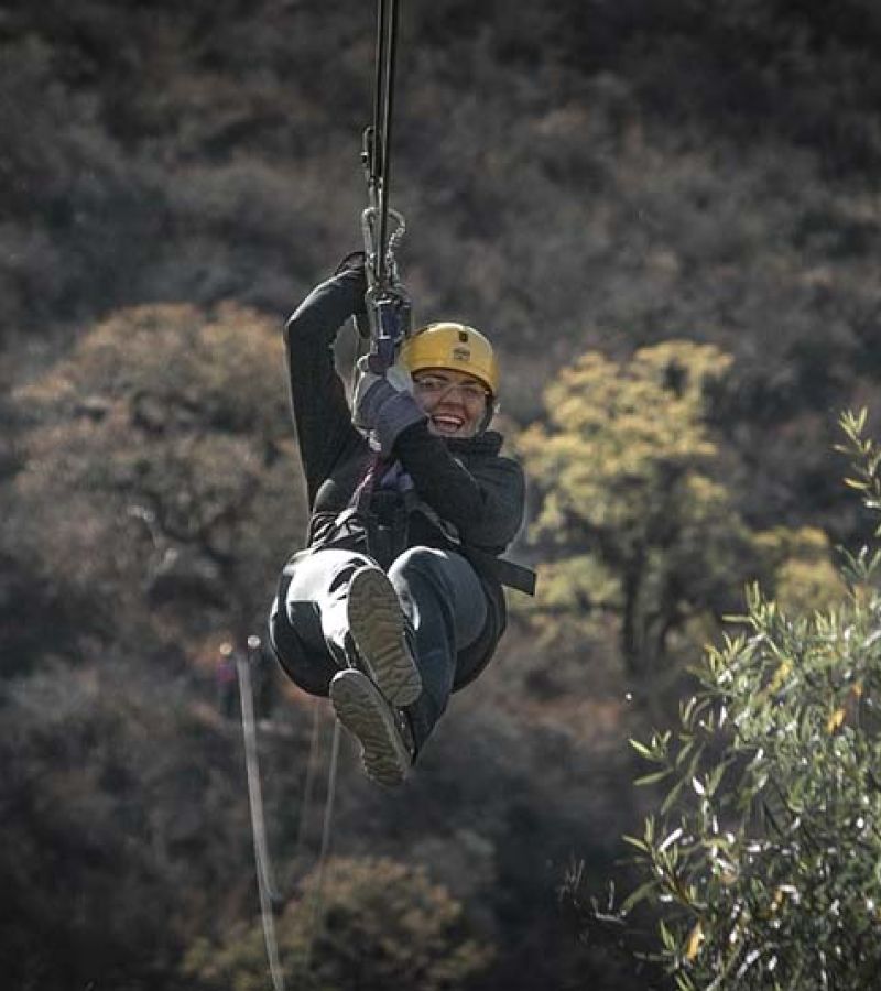 Zipline 168019 1280 041Bd1Fb