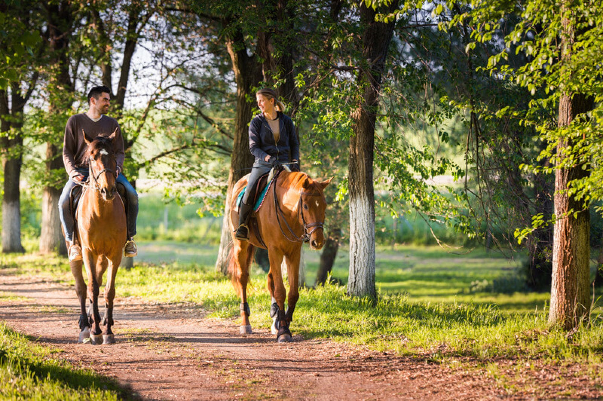 Young Couple Riding Horse Featured 0Decfa00