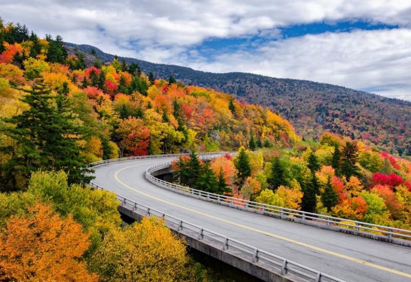 A Traveler’s Guide To Fall In Gatlinburg Cover Image