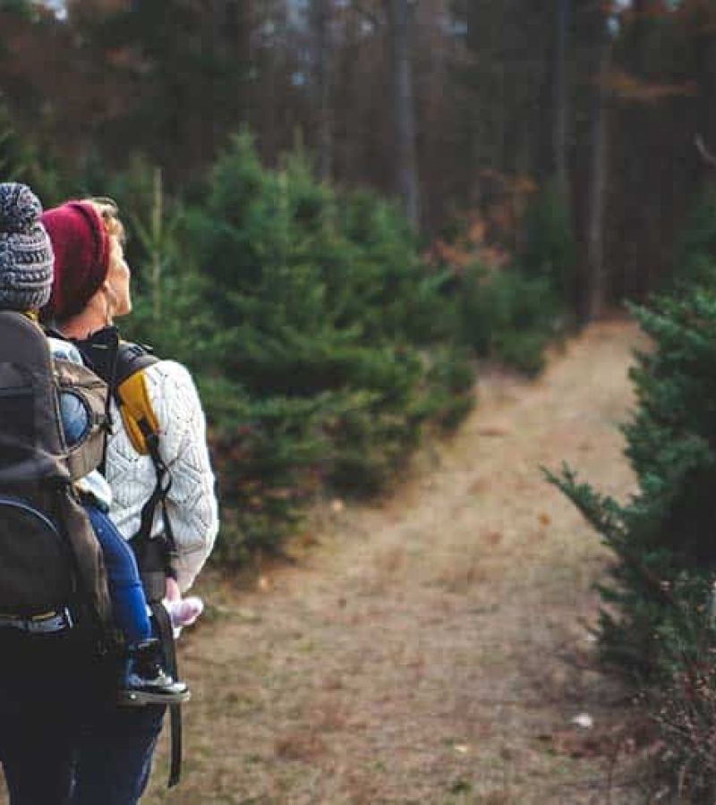 Pexels Josh Willink 701016 748D5C4D