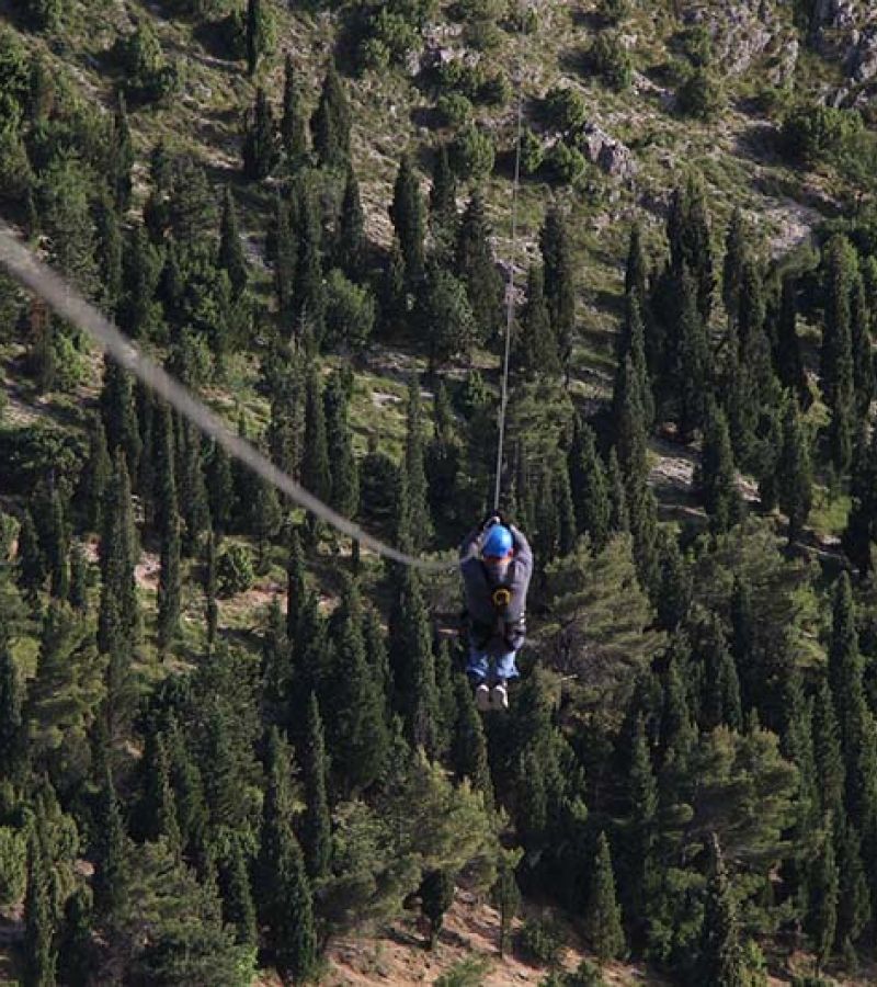 Zipline 6278624 1280 89760646