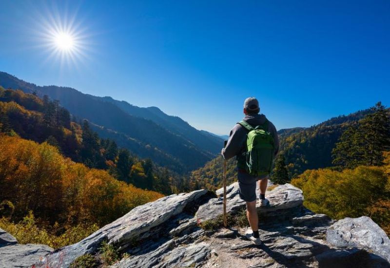 Absolute Best Time To Visit The Smoky Mountains Cover Image