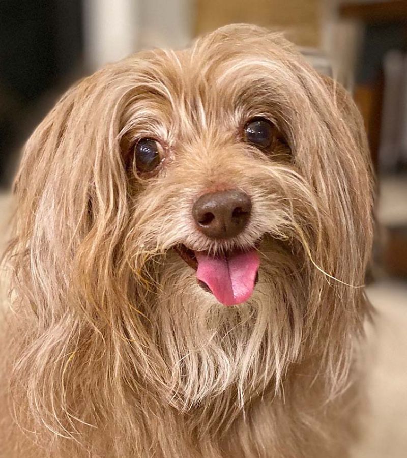 Pvr Homepage Img 2 96B4Fd46