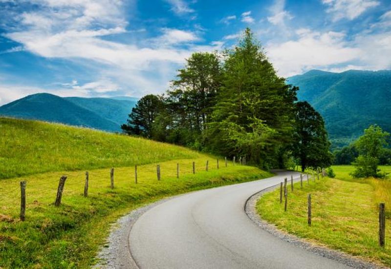 A Traveler’s Guide To Spring In The Smoky Mountains Cover Image