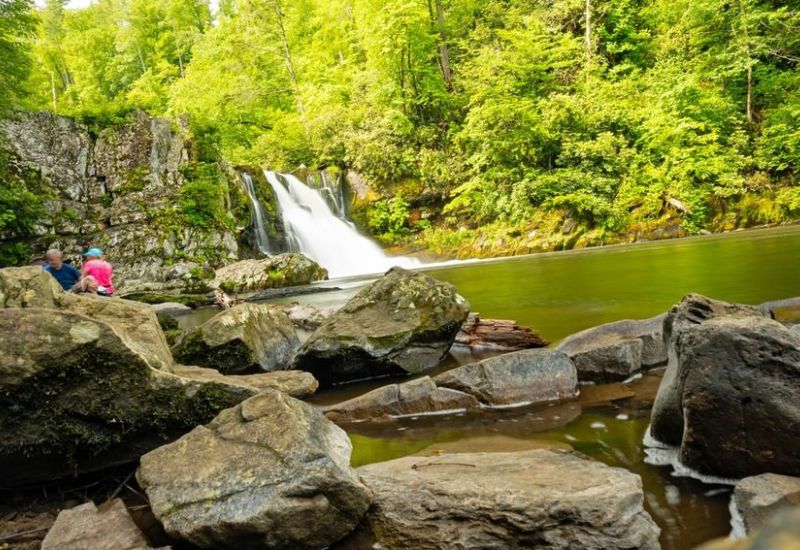 Very Best Time To Visit The Great Smoky Mountains National Park Cover Image