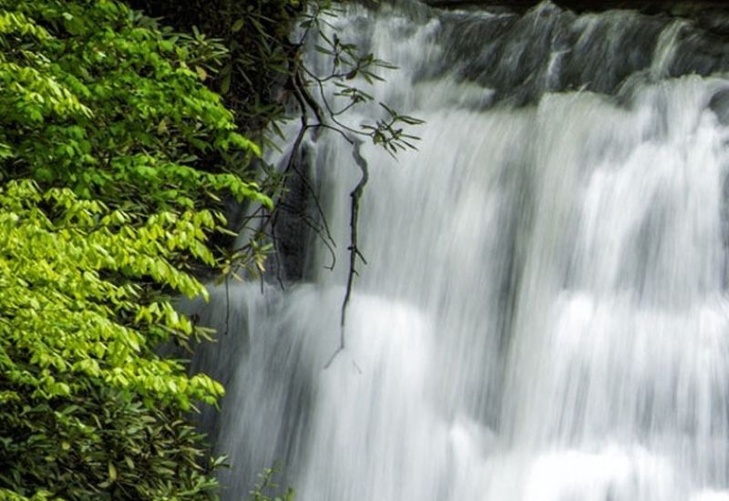 A Traveler’s Guide To Spring In The Smoky Mountains Cover Image