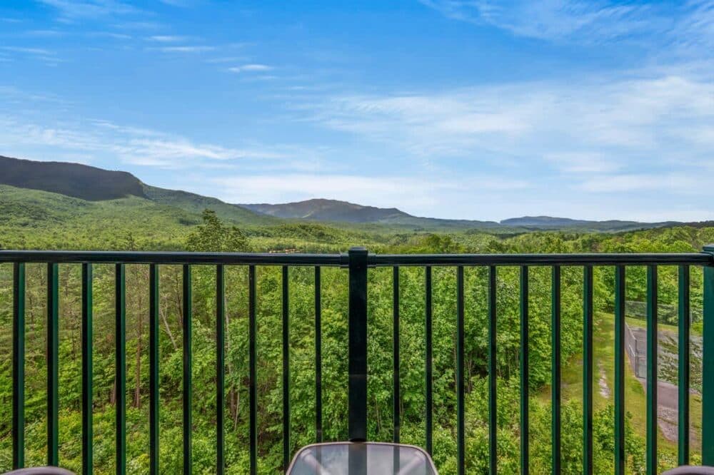 Picture Idea: Timberline Terrace
