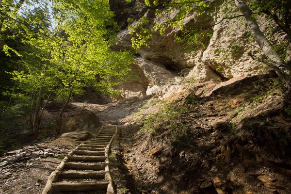 Alum Cave Trail Smoky Mountains