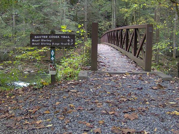 Baxter Creek Trail Smoky Mountains