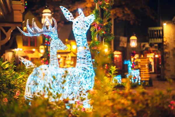 Christmas Light Of Some Light Deers Gatlinburg