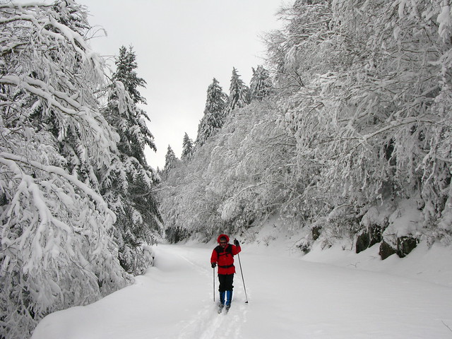 Cross Country Ski Clingmans Dome Road