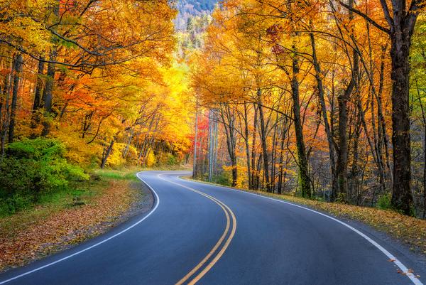 Very Best Time To Visit The Great Smoky Mountains National Park 5 Fall Foliage Great Smoky Mountains National Park