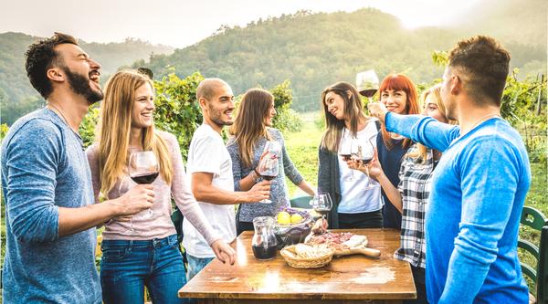 Friends Drinking Red Wine In Vineyard