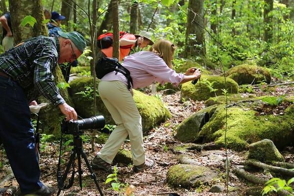 Great Smoky Mountains National Park Spring Wildflower Pilgrimage