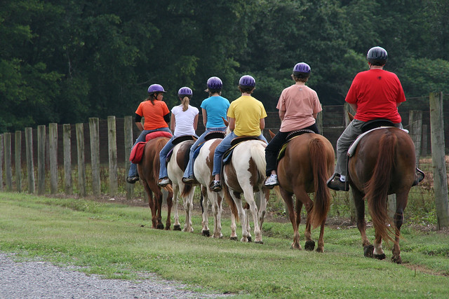 Guided Horseback Ride