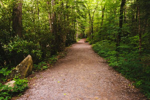 Hiking Trail Great Smoky Mountains Tennessee