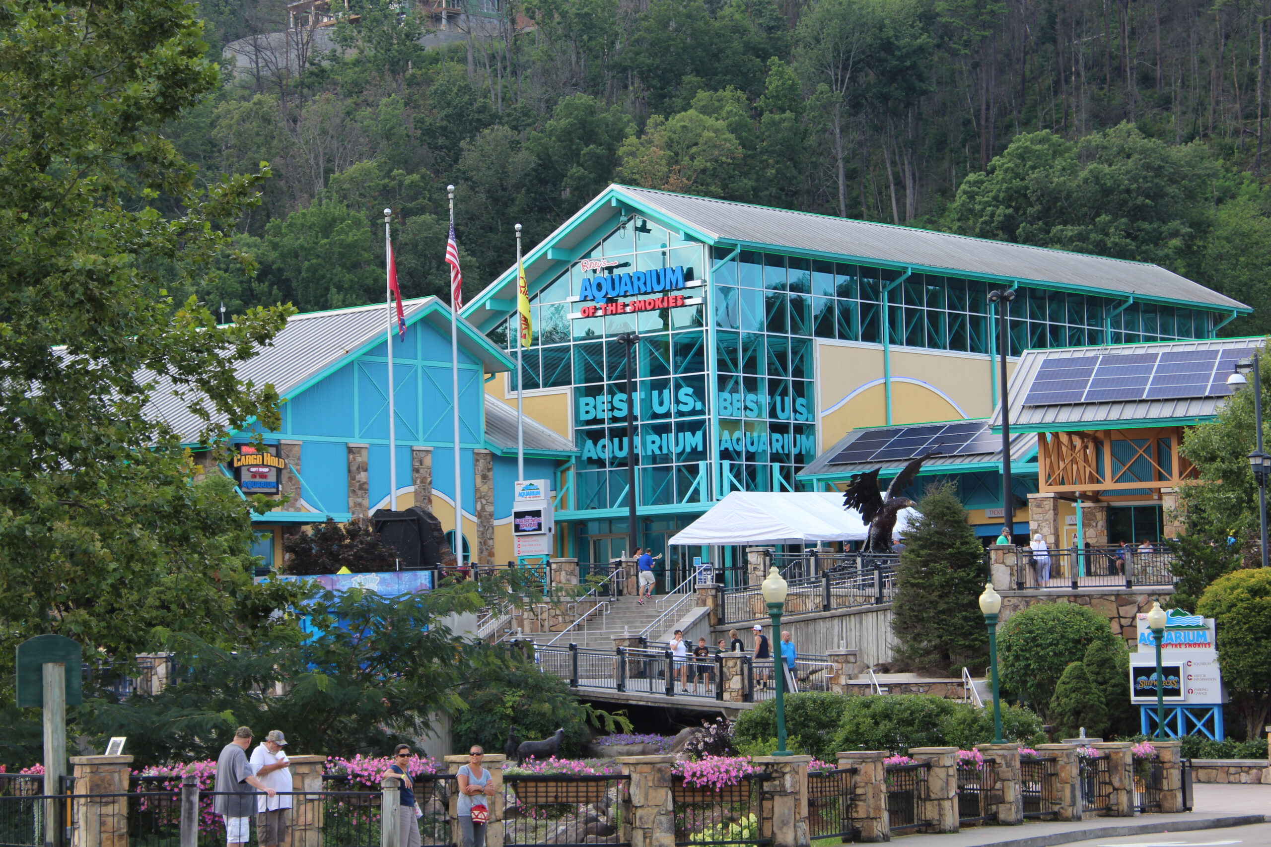 Ripleys Aquarium Of The Smokies Gatlinburg Scaled