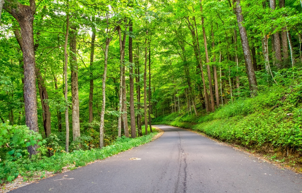 Roaring Fork Motor Nature Trail Tennessee