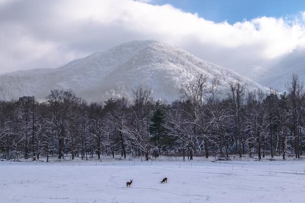 Smoky Mountains National Park Cades Cove Winter