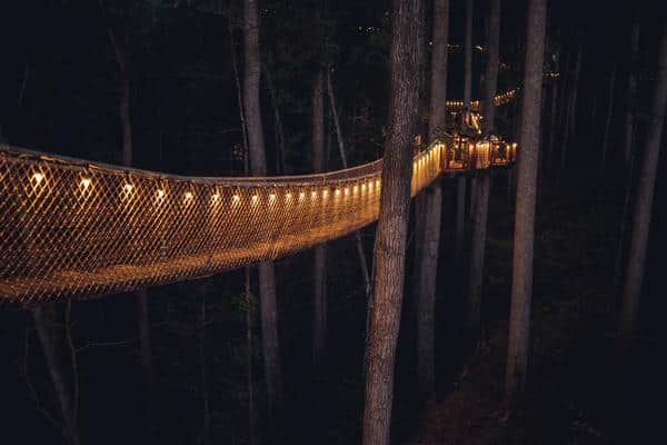 Tree Bridge Anakeesta Gatinburg